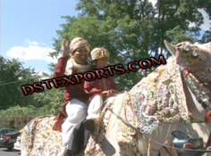 INDIAN BARAAT COLOURFUL HORSE COSTUME