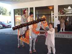 INDIAIN BARAAT RED EMBRODRIED HORSE COSTUME