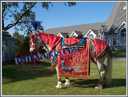 INDIAN WEDDING GHODI COSTUME