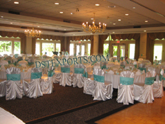 WEDDING BANQUET HALL SILVER CHAIR COVER