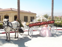 NEW DESIGN WEDDING CINDERALA CARRIAGE