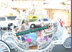 BIRTHDAY PARTY CINDERALLA CARRIAGE