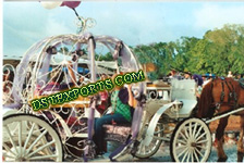 FESTIVAL CINDERALLA HORSE CARRIAGE