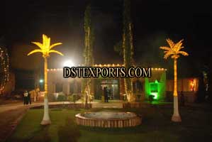 WEDDING DECORATION LIGHTED COCONUT TREES