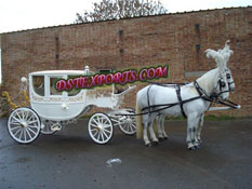 BEAUTIFUL COVERED HORSE DRAWN CARRIAGE