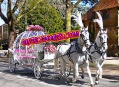 BEAUTIFUL CINDERALA DOUBLE HORSE CARRIAGE