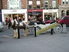 WHITE LANDUA HORSE CARRIAGE