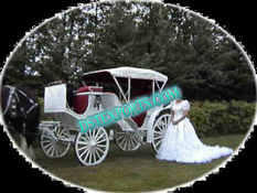 WEDDING WHITE VICTORIA  CARRIAGES