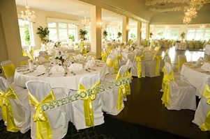ELEGENT BANQUET CHAIR COVER WITH SASHAS