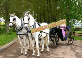 BEAUTIFUL BLACK VICTORIA CARRIAGE