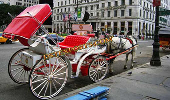 BEAUTIFUL ENGLISH WEDDING CARRIAGE