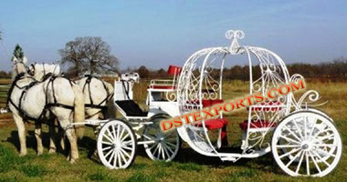 TURIST CINDERALLA HORSE CARRIAGE