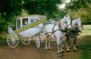 WEDDING CLOSED CINDERALLA CARRIAGE