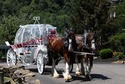 DOUBLE HORSE WEDDING CINDERELLA CARRIAGE