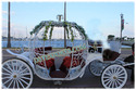 WEDDING CINDERALLA CART