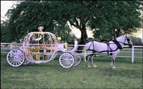 ELEGENT CINDERALLA HORSE CARRIAGE