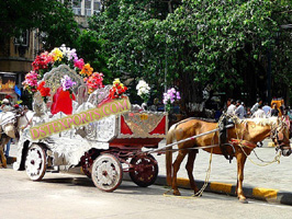 BOMBAY STYLE VICTORIAN BAGHI