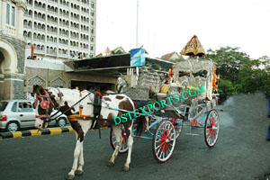 INDIAN WEDDING BAGHIS