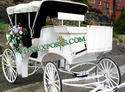 ELEGENT VICTORIA HORSE CARRIAGE