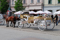 TOURIST HORSE DRAWN BAGHI