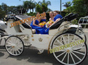 WHITE TOURIST VICTORIA CARRIAGES