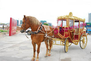 ROYAL HORSE DRAWN CART