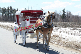 ELEGENT VICTORIA HORSE DRAWN CARRIAGE