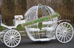 SWEET CINDERALA HORSE CARRIAGE