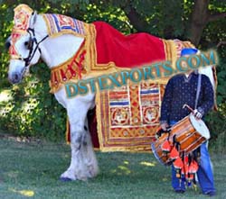 INDIAN WEDDING BARAT DECORATIONS