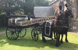 BLACK ENGLISH FUNEREL HORSE CARRIER