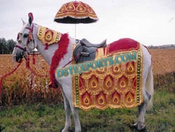 INDIAN VIVAH DECORATED HORSE COSTUMES