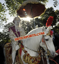 INDIAN WEDDING GHODI DECORATIONS