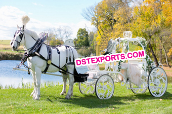 Bridal Cinderella Horse Carriage Bugghy