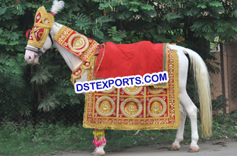 Hindu Wedding Ghodi Decoration
