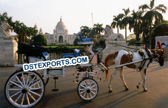 Indian Touring Horse Buggy