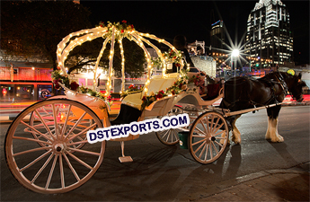 Princess Wedding Horse Carriage