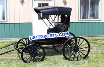 Small Carriages Buggy