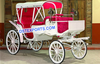 Indian Wedding Royal Buggy