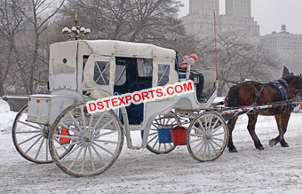 White Horse Buggy For English Wedding