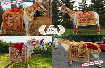 Baraat Horse Costume for Traditional Wedding