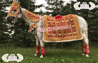 Indian Wedding Traditional Baraat Horse Costume