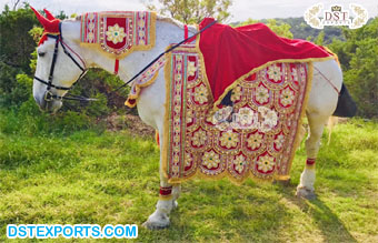 Indian Groom Riding Horse Costume Decoration